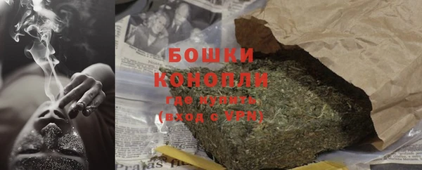 дживик Протвино