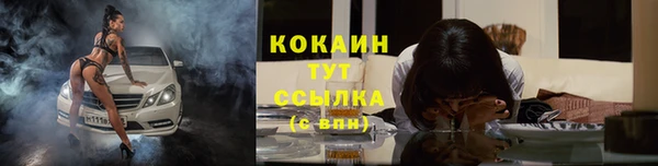 jwh Пролетарск