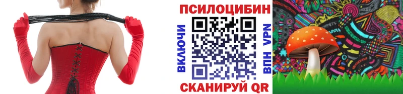 ОМГ ОМГ онион Тихорецк Псилоцибиновые грибы Cubensis
